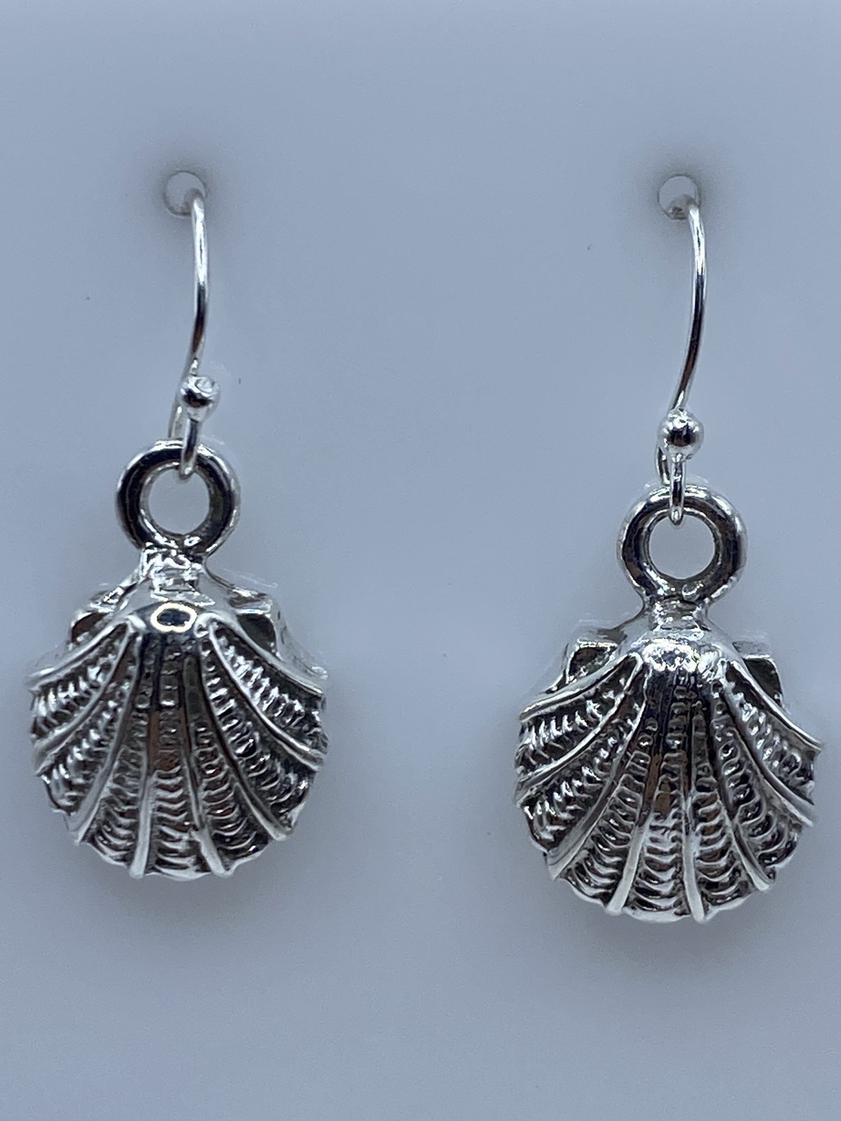 Aretes de Plata Concha Marina Repujada — Taxco 925